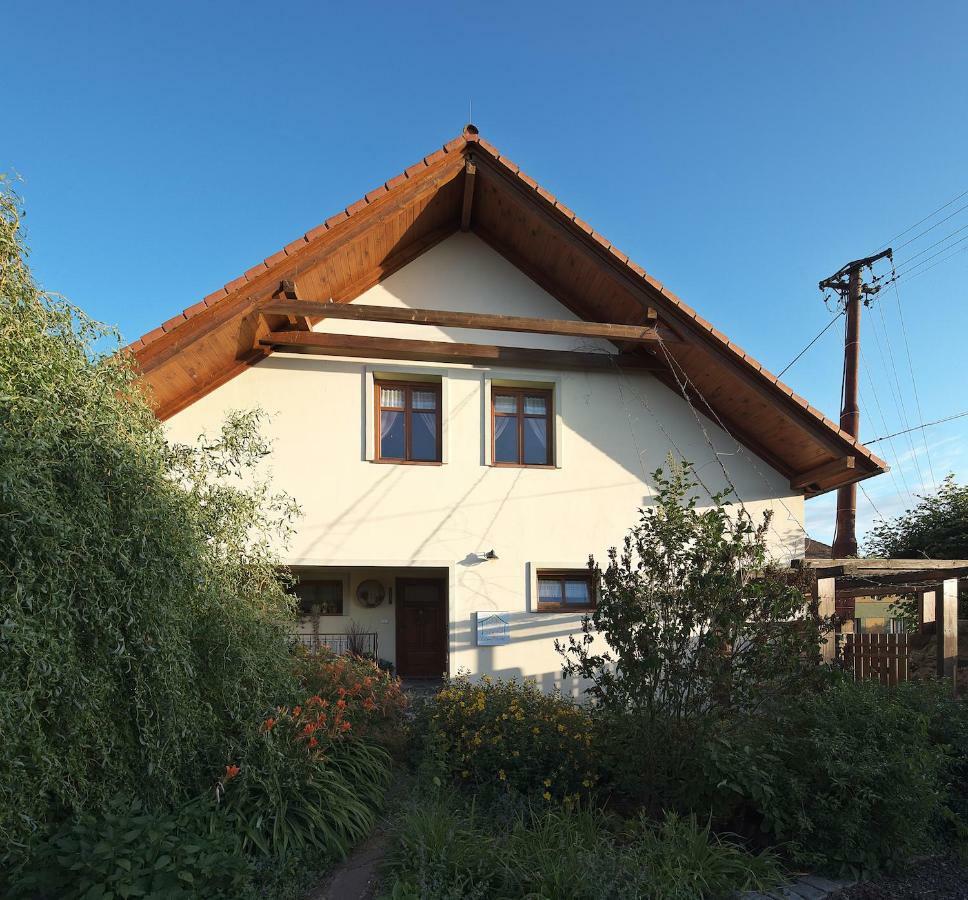 Zeleny Statek Apartment Bzova Exterior photo